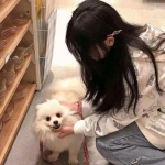 BOB最新版本下载